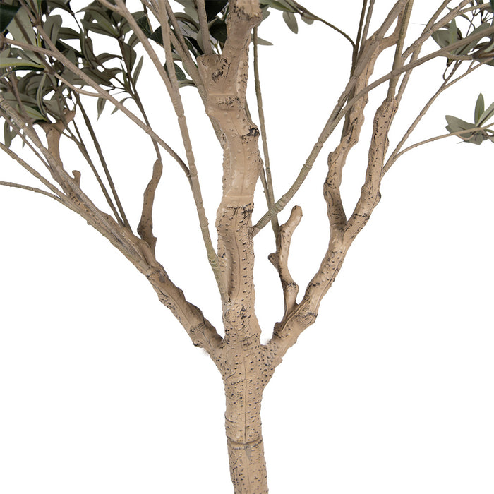 Clayre & Eef Kunst Olijfboom 240 cm Groen Kunststof