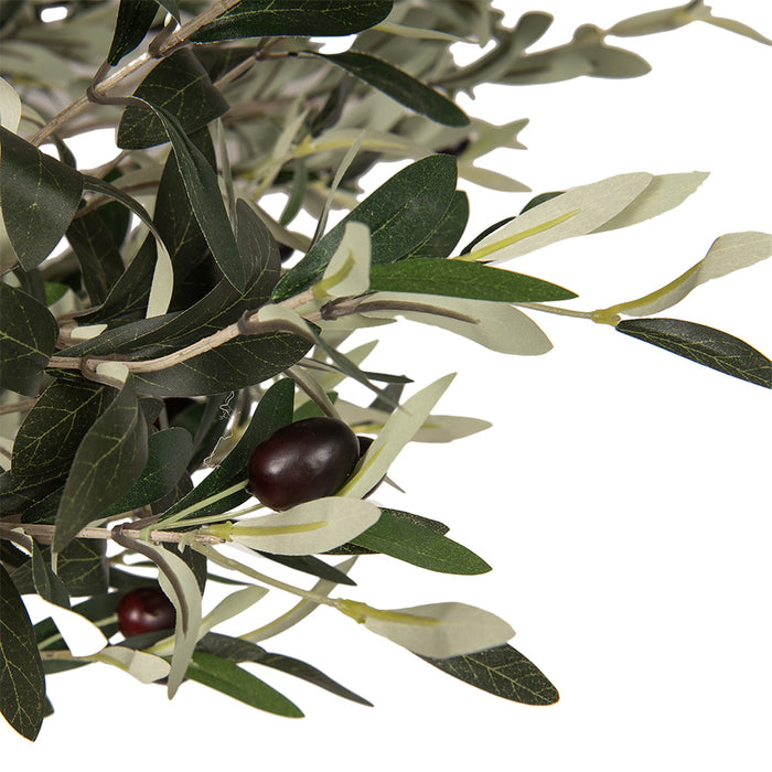 Clayre & Eef Kunst Olijfboom 320 cm Groen Kunststof