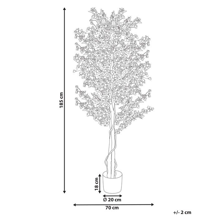 45f84aa0-83ff-45ec-a967-83563107ed67-afbeelding11.jpg (10455502)