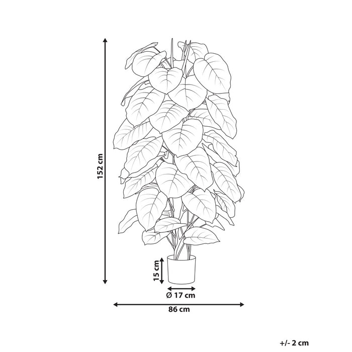 2e5c7b68-7b88-4453-b478-a9c6631f27c1-afbeelding11.jpg (10456644)