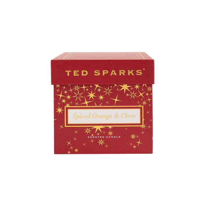 Ted Sparks - Geurkaars Demi - Spiced Orange & Clove