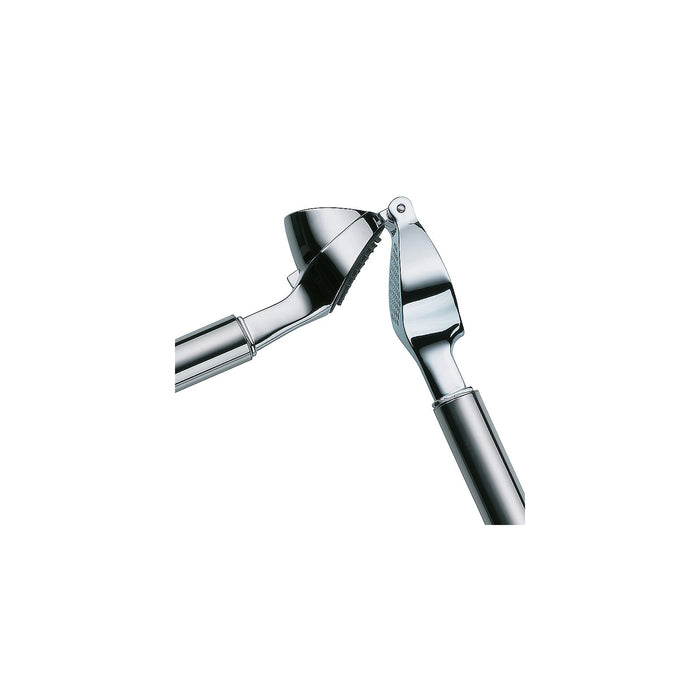 Knoflookpers - RVS - Eenvoudig te Reinigen - Kela | Rondo