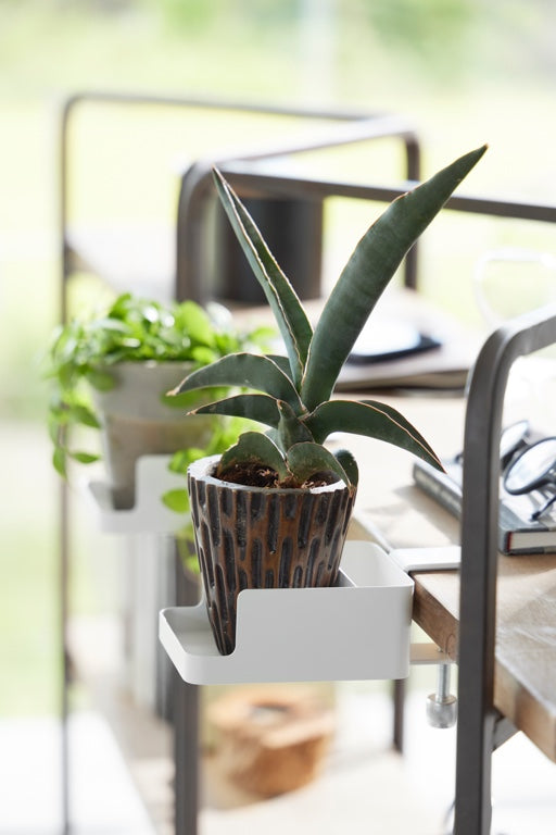 635eee57-8d63-4426-b7bd-4bbcf552aa14-afbeelding12.jpg (10459203)