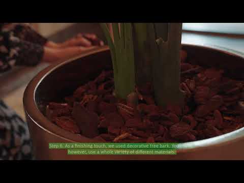 Easyplants Kunstplant Strelitzia 230 Cm