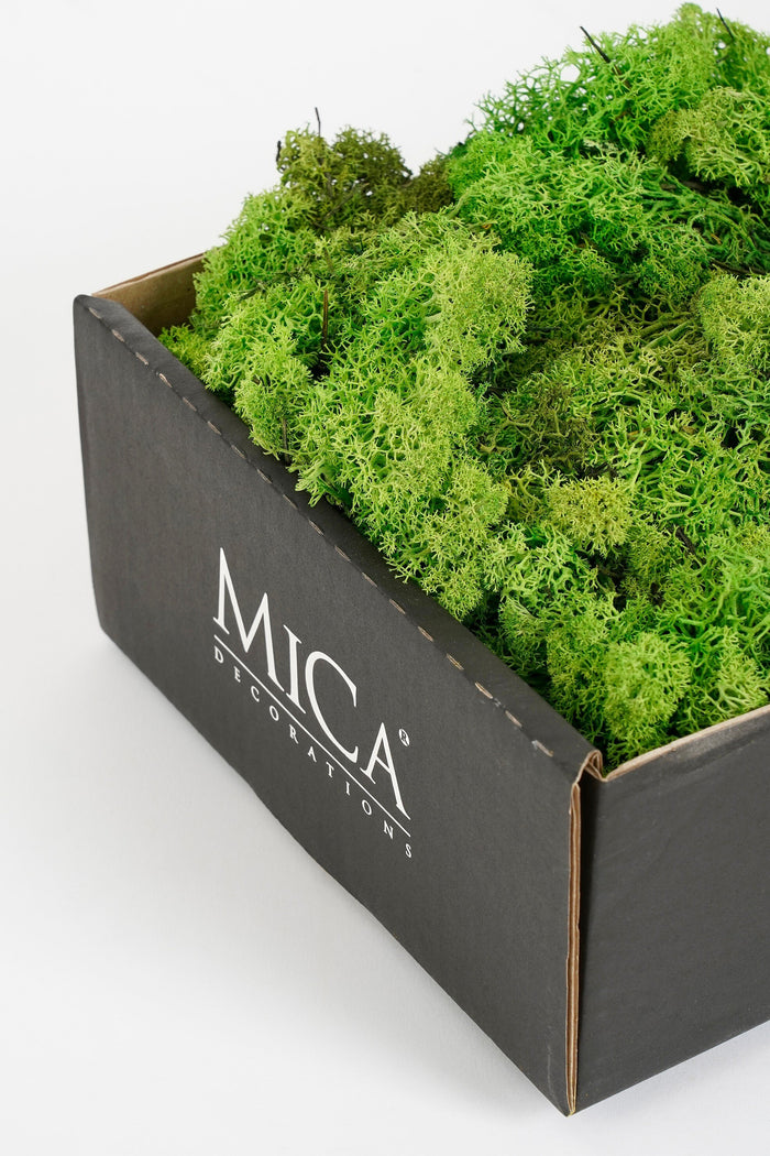 Mica Decorations Mossy Decoratiemos - 500 g - Groen