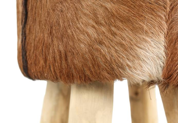 e0822fc7-4be1-4f9e-9807-887cda6369b7-afbeelding4.jpg (10597170)