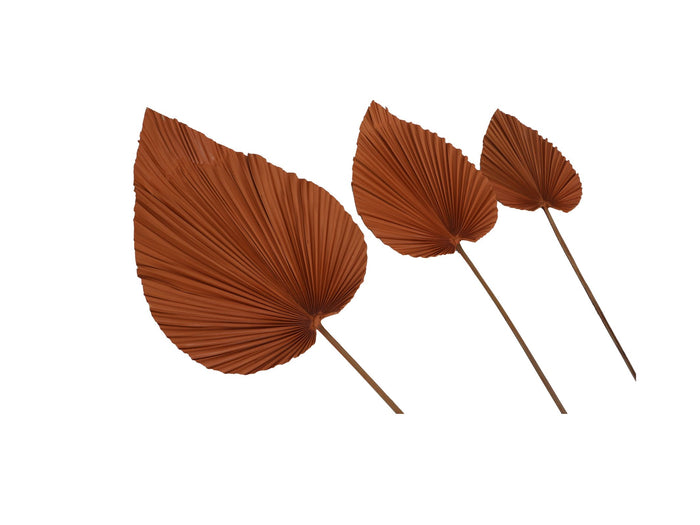 0e87dbe4-5ff8-4b4a-ac32-7348b875571c-afbeelding3.jpg (10640862)