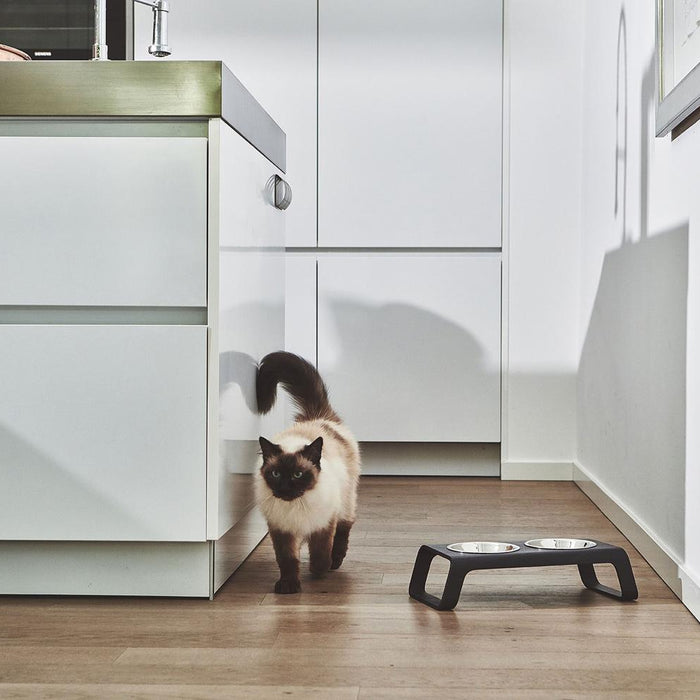 Desco kattenvoerbak walnoot