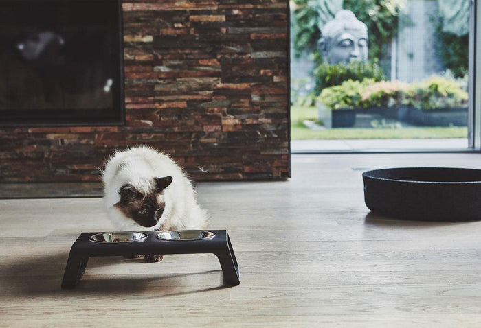 MiaCara Desco kattenvoerbak essen zwart