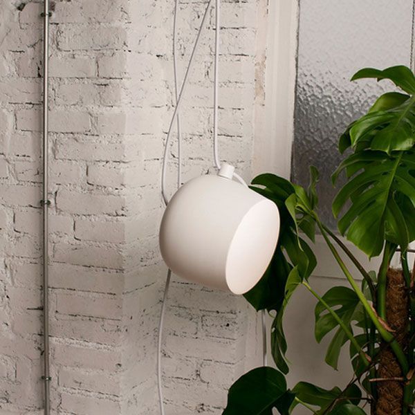 b639519d-4955-448a-a7eb-d26f3469e0d1-afbeelding4.jpg (10648406)