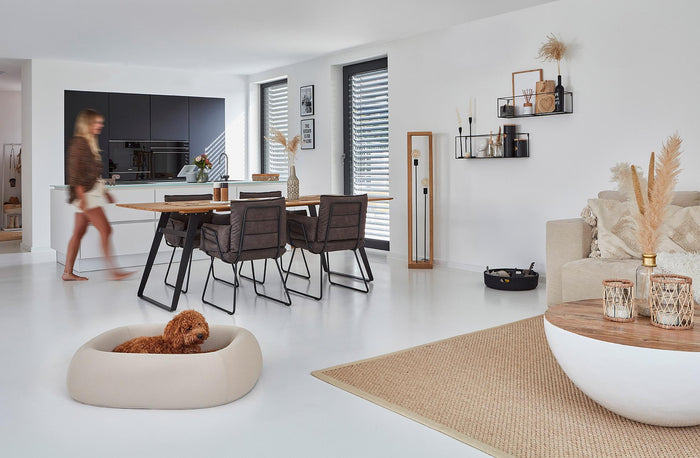 b8223c9b-ee6c-4e98-9f06-3057b88a09f0-afbeelding6.jpg (10649063)