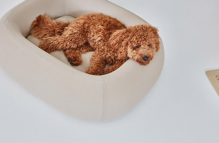 b8223c9b-ee6c-4e98-9f06-3057b88a09f0-afbeelding7.jpg (10649074)