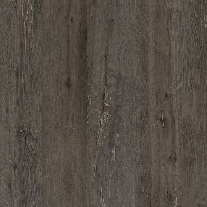 68fdd804-c202-48cc-a37c-824c9840e2df-afbeelding7.jpg (10653954)