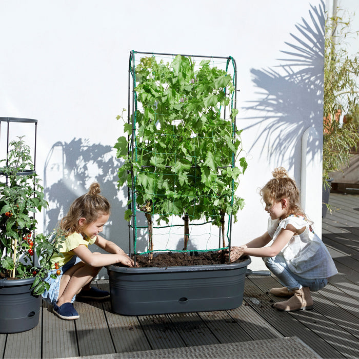 elho Green Basics Veggie Wall 80 cm