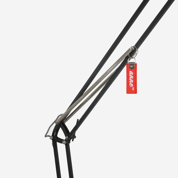 167003-x3.jpg (1097477)