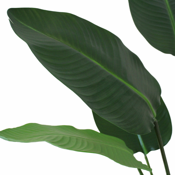 Van der Leeden Strelitzia Kunstplant