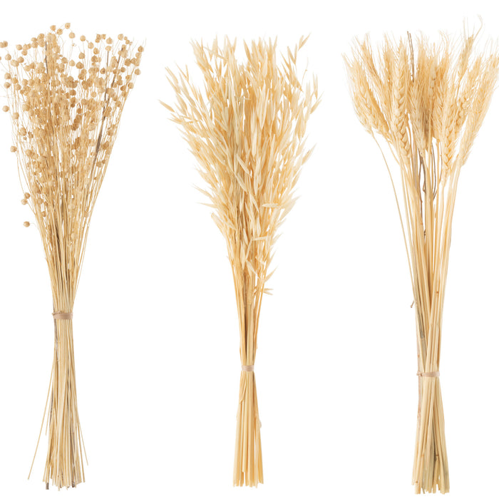 J-Line droogbloemen - Bundel gedroogde bloemen - naturel - 3