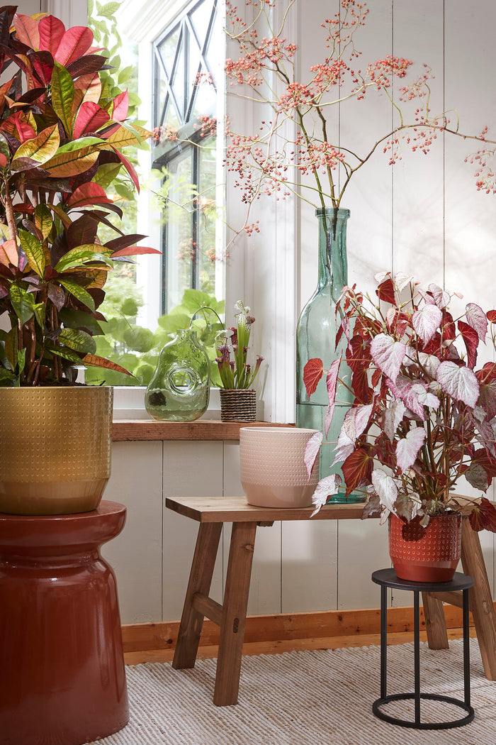 Mica Decorations Rioja Glazen Fles - H75 x Ø18 cm - Transparant