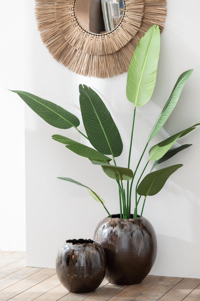 J-Line plant Strelitzia - kunststof - groen - small