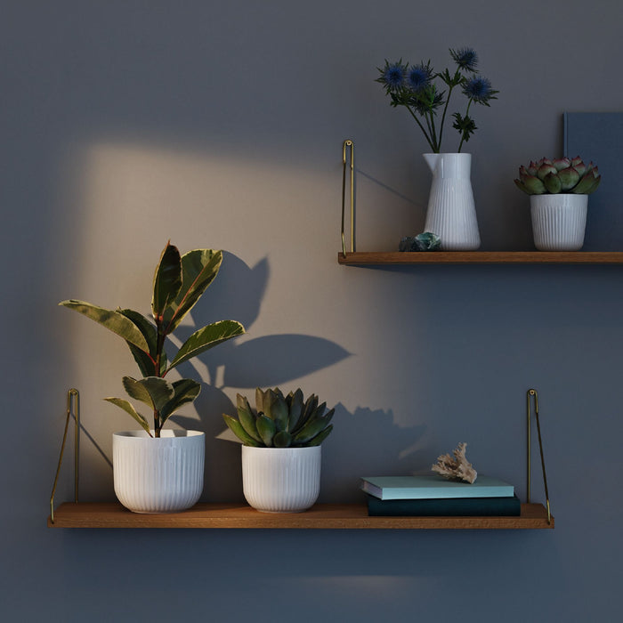 Legio Nova Bloempot - Klein - Wit - Eva Trio