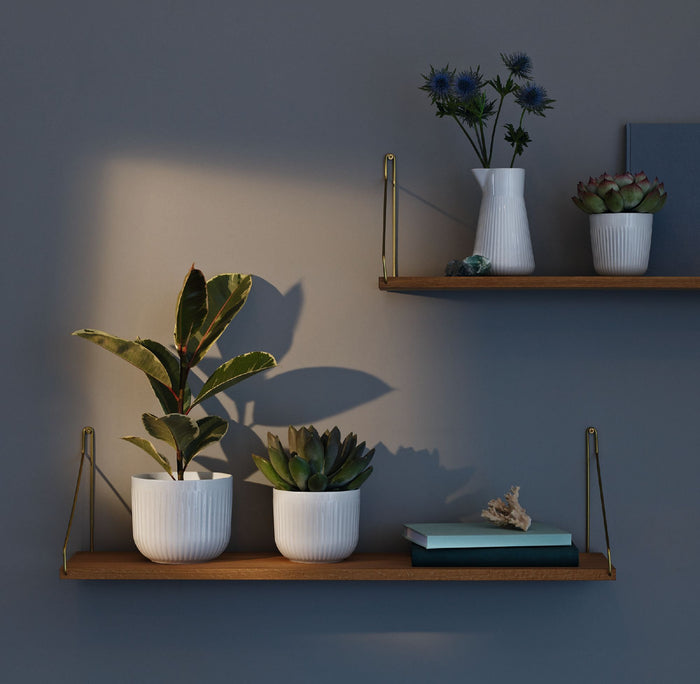 Legio Nova Bloempot - Klein - Wit - Eva Trio