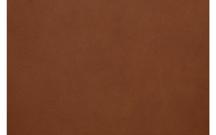 Goossens Eetkamerstoel Leogang - Leder met armleuning