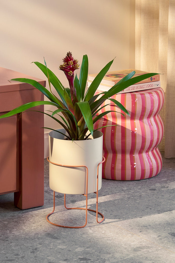 Mica Decorations Collins Bloempot op Standaard - H33 x Ø22 cm