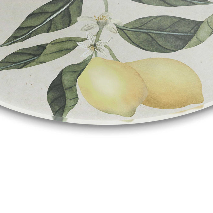 Reinders - Citroentak - Glasschilderij Ø 70 cm - Geel