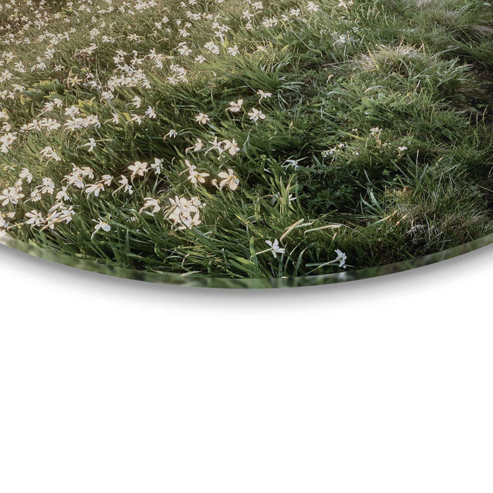 Reinders - Bergbloei in de ochtendzon - Glasschilderij Ø 70 cm - Groen