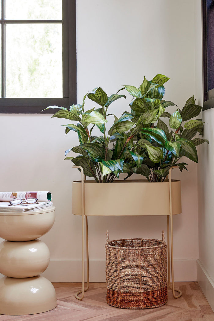 Mica Decorations Moritz Bloempot - L55 x B24 x H65 cm - Beige