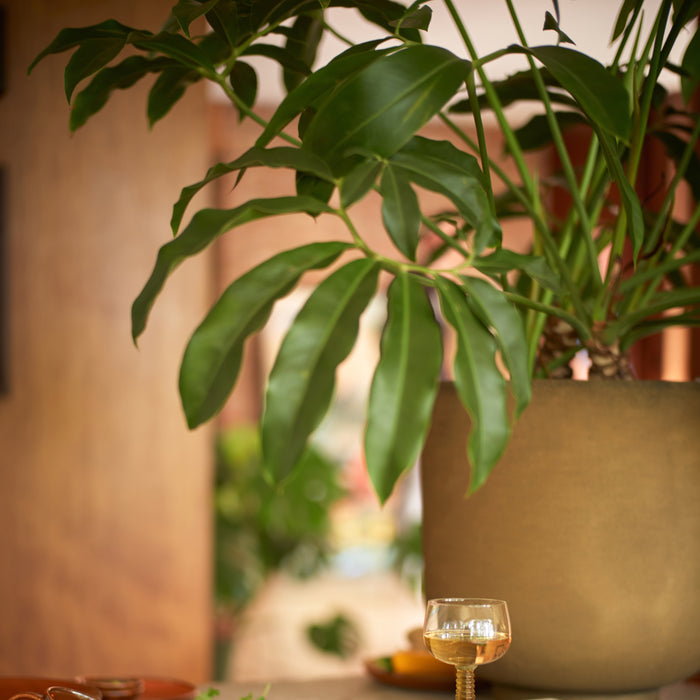 HKliving Swirl Wijnglas 0,2 L