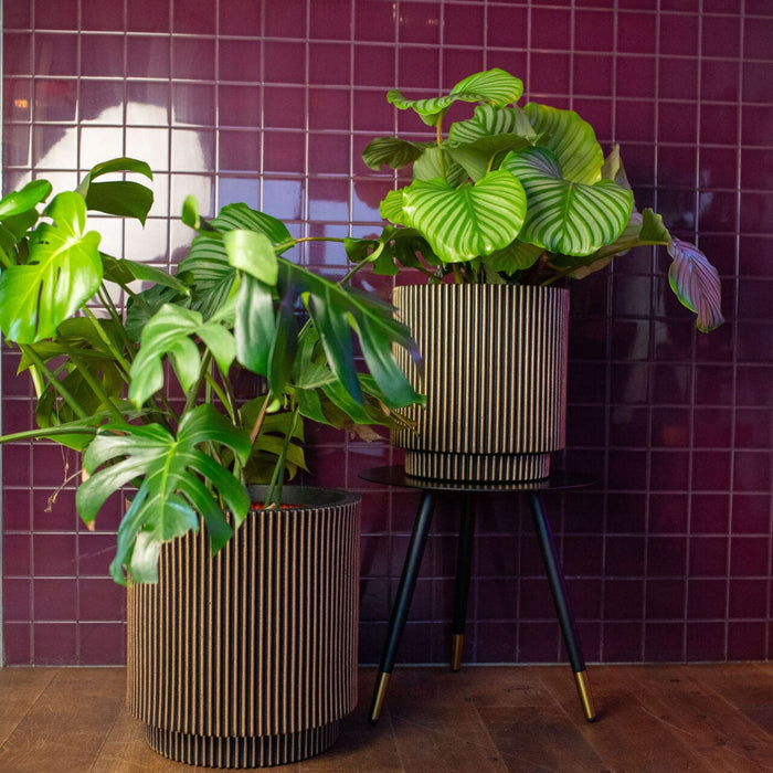 Capi Europe - Vaas cilinder Groove NL - 41x43 - Ivoor