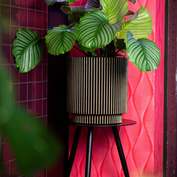 Capi Europe - Vaas cilinder Groove NL - 41x43 - Ivoor