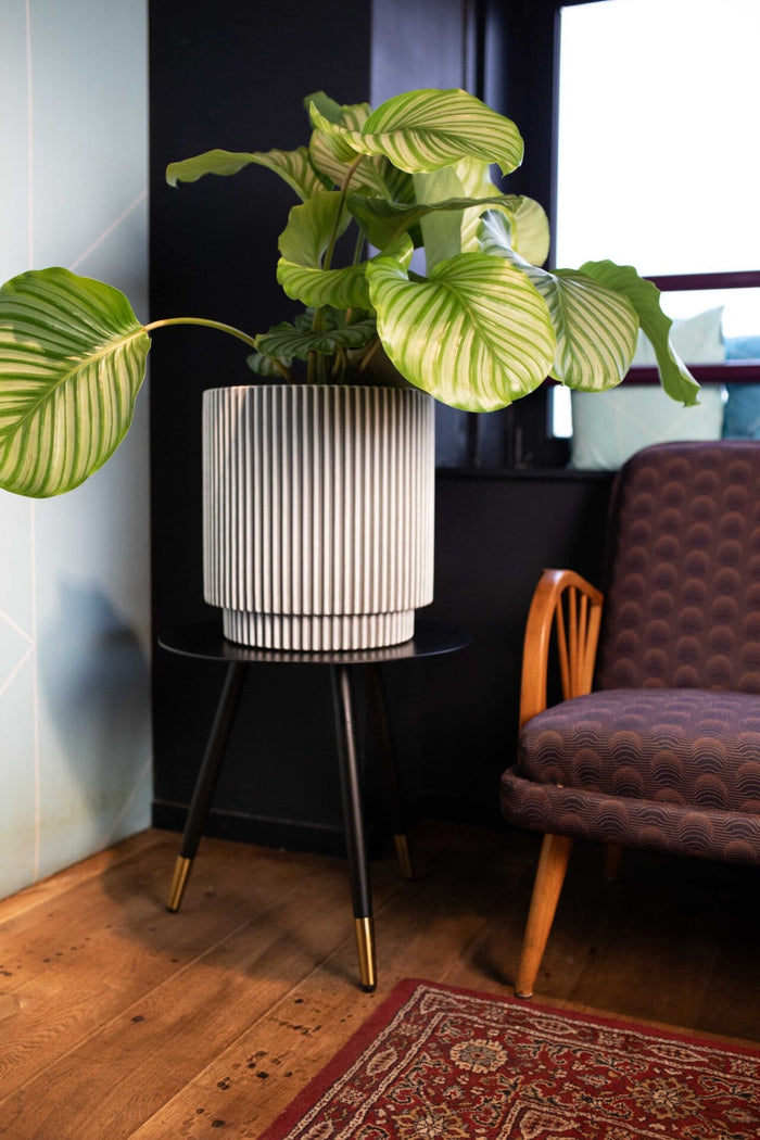 Capi Europe - Vaas cilinder Groove NL - 41x43 - Koper