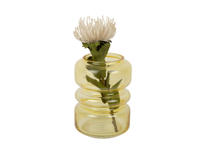 present time - Vase Maravillo