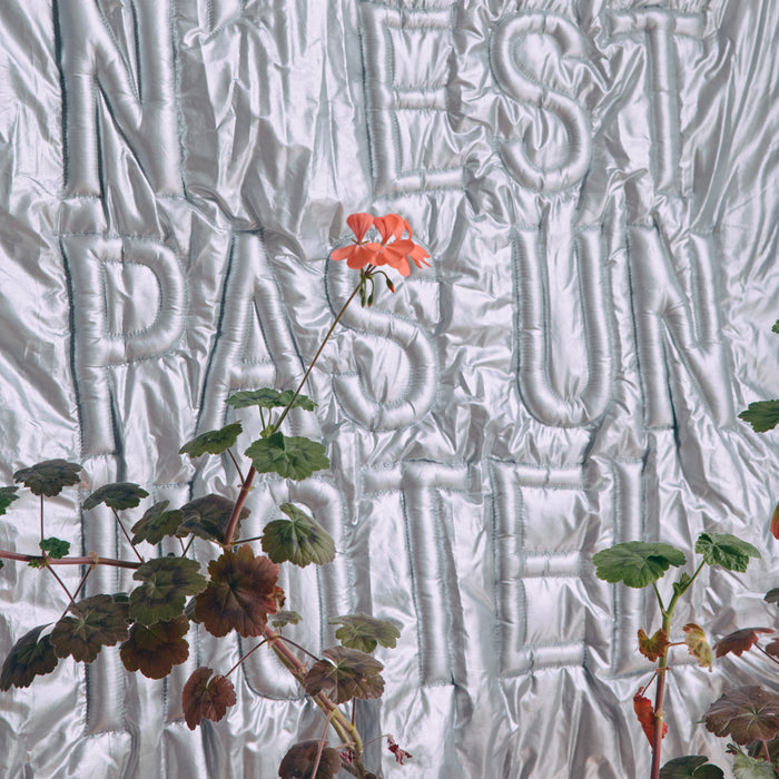 HKliving Wandkleed 'Ceci n'est pas un hôtel - Zilver