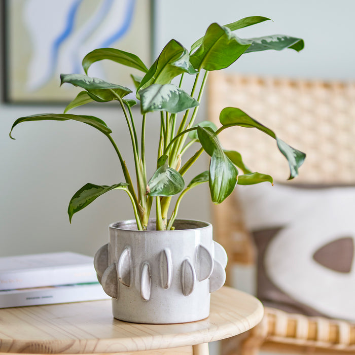 Bloomingville Roza Bloempot - Wit