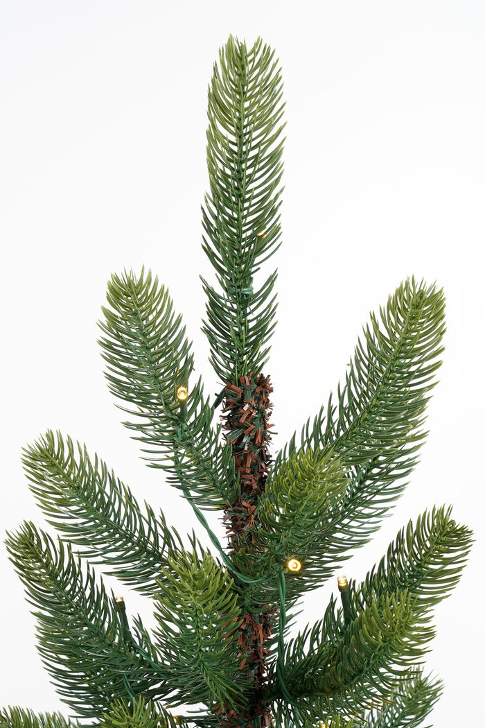 Black Box Trees Nagoya Set van 2 Kerstbomen en 1 Krans - H90 x Ø45 cm