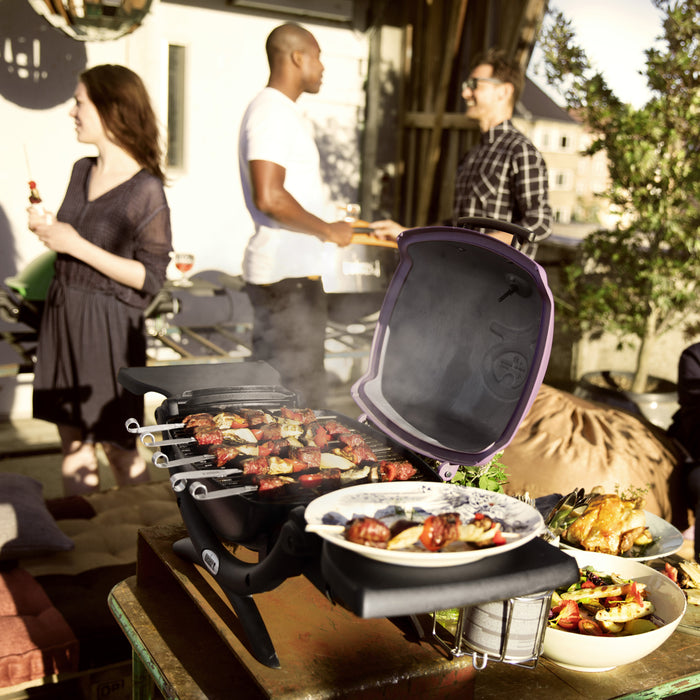 Weber Spiesen - Set van 4