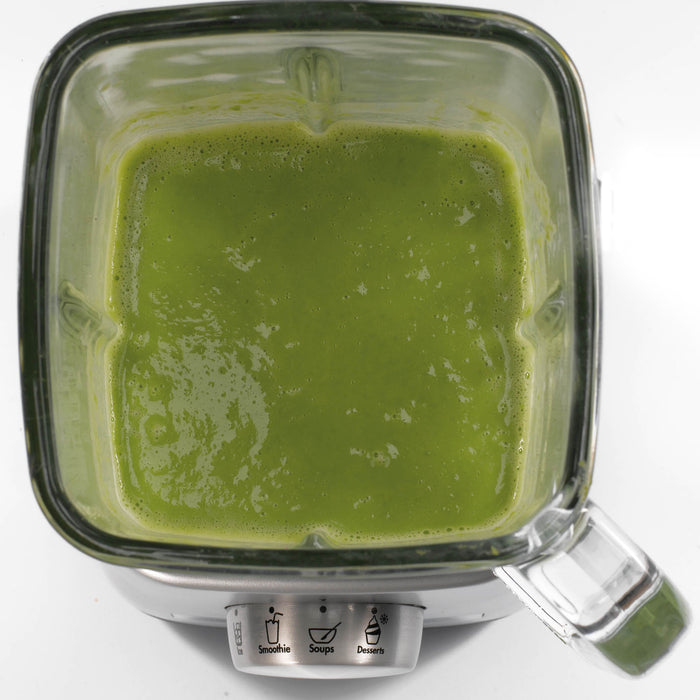 Magimix 11630NL Power Blender