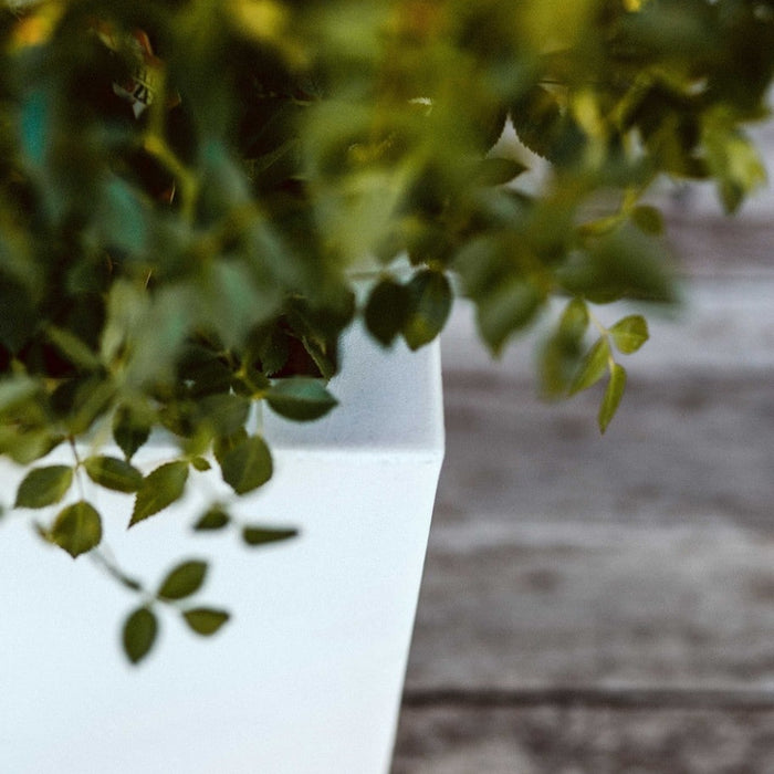 Capi Lux White Pot vierkant wit 20 x 20 x 20 cm