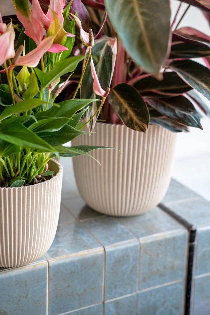 Capi Europe - Pot bol Groove 'made with' - Set M - Zaagsel beige