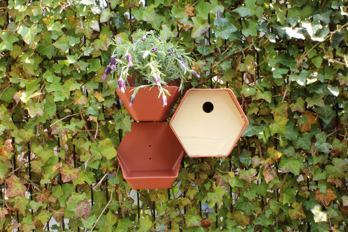 Capi Europe - Vogelhuisje rond Hive - 19x23x20 - Antraciet