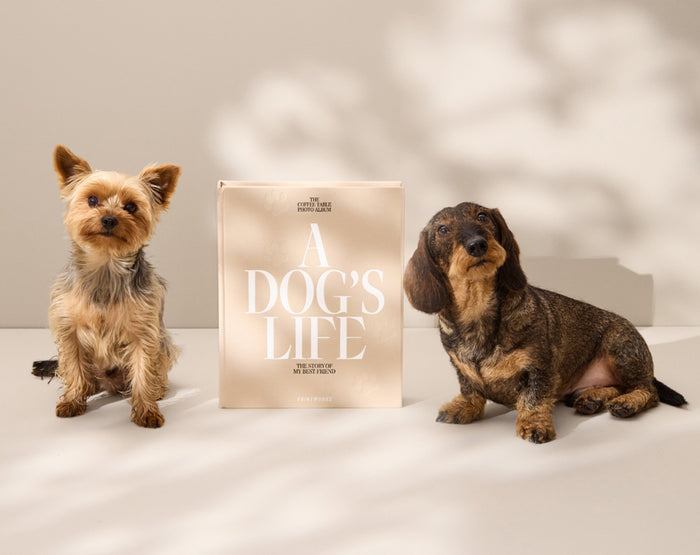 Printworks Fotoalbum Hond - A Dog's Life