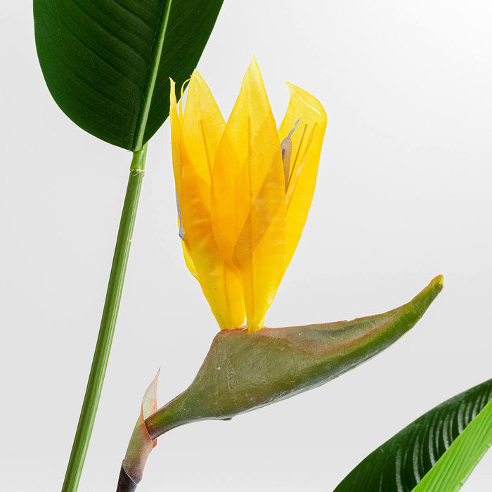 Kunstplanten Strelitzia Reginae 190cm Kare Design