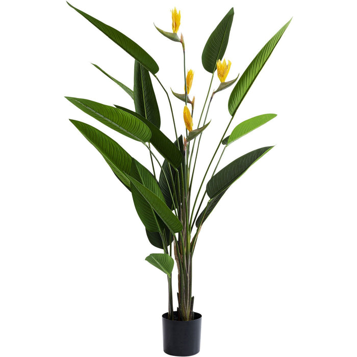 Kunstplanten Strelitzia Reginae 190cm Kare Design