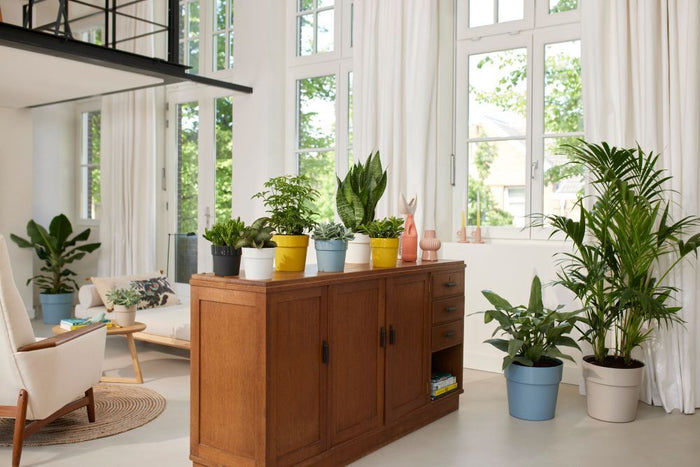 elho B.for Original Rond Wielen 35 - Living black (Zwart) - Ø 35 x H