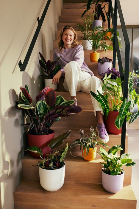 elho Jazz Rond 14 - Lavendel lila (Paars) - Ø 14 x H 13 cm - Ideaal