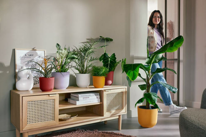 elho Jazz Rond 14 - Amber geel (Geel) - Ø 14 x H 13 cm - Ideaal voor