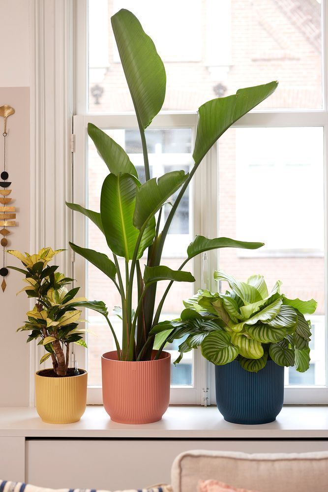 elho Vibes Fold Rond 18 - Delicaat roze (Roze) - Ø 18 x H 17 cm -